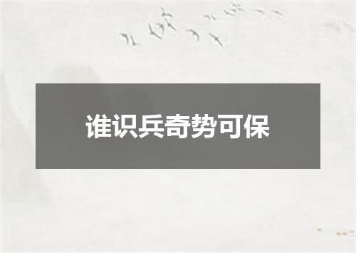 谁识兵奇势可保