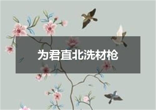 为君直北洗材枪
