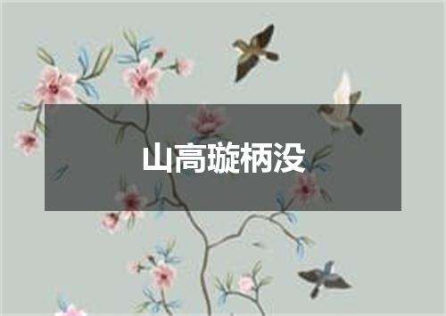山高璇柄没
