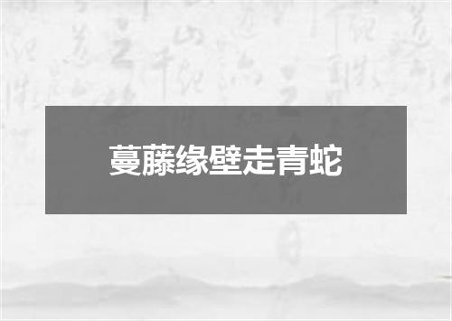 蔓藤缘壁走青蛇
