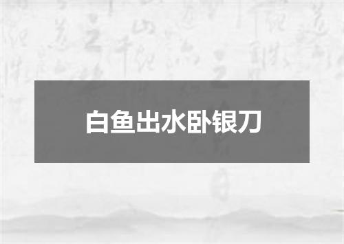 白鱼出水卧银刀
