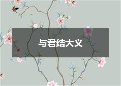 与君结大义