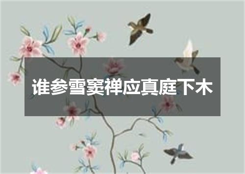 谁参雪窦禅应真庭下木