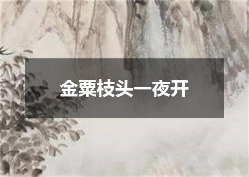 金粟枝头一夜开