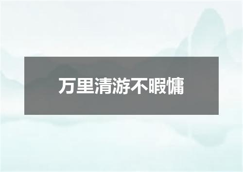 万里清游不暇慵