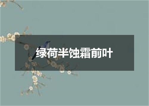 绿荷半蚀霜前叶