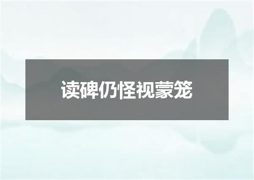 读碑仍怪视蒙笼