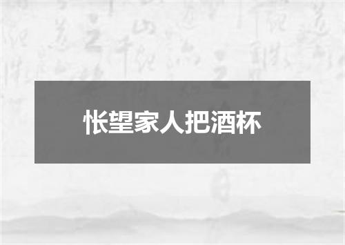 怅望家人把酒杯