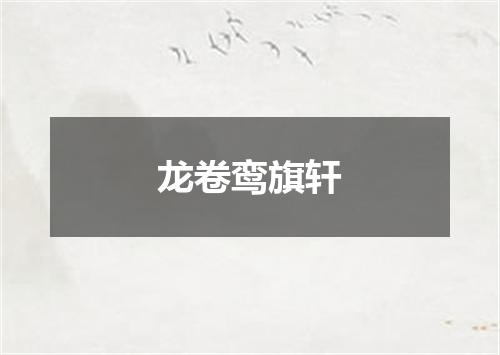 龙卷鸾旗轩