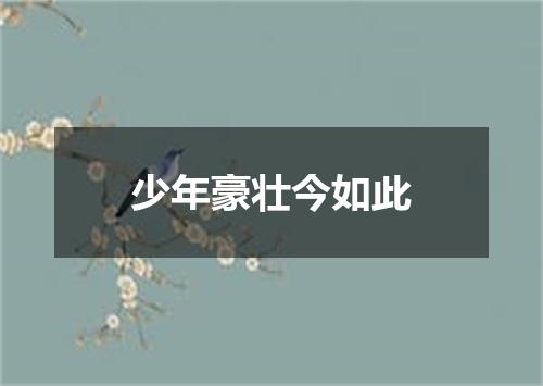 少年豪壮今如此