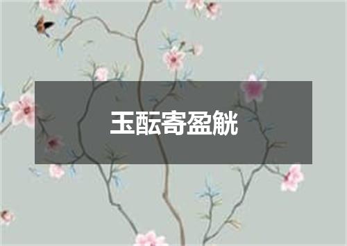 玉酝寄盈觥