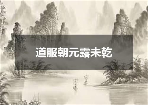 道服朝元露未乾