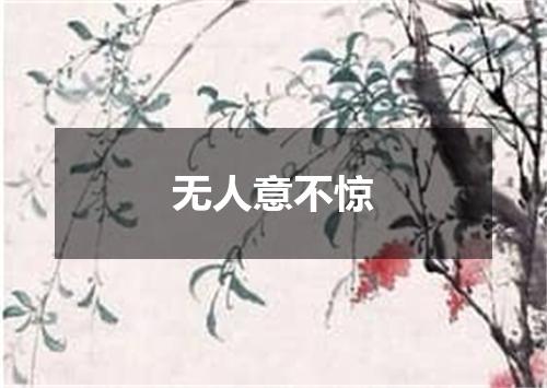 无人意不惊