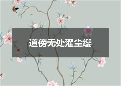 道傍无处濯尘缨