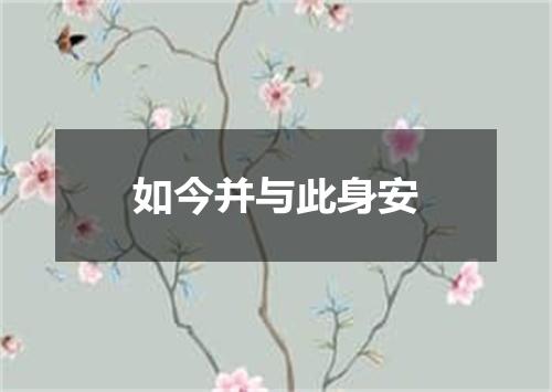 如今并与此身安