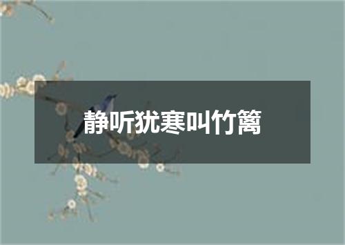 静听犹寒叫竹篱