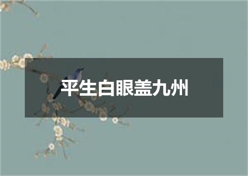 平生白眼盖九州