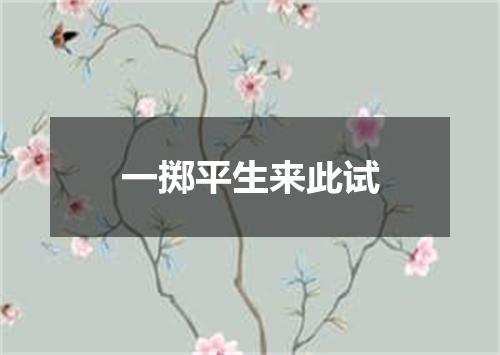 一掷平生来此试