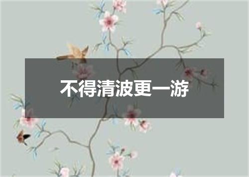 不得清波更一游