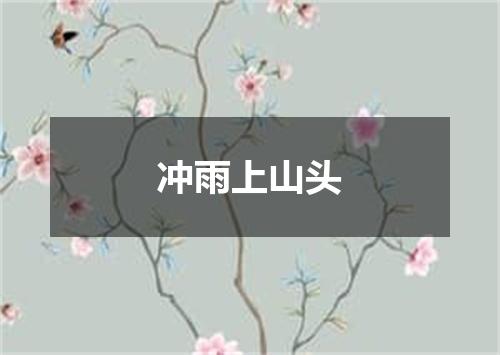 冲雨上山头