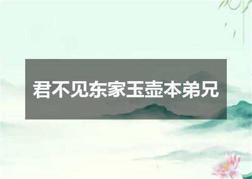 君不见东家玉壶本弟兄