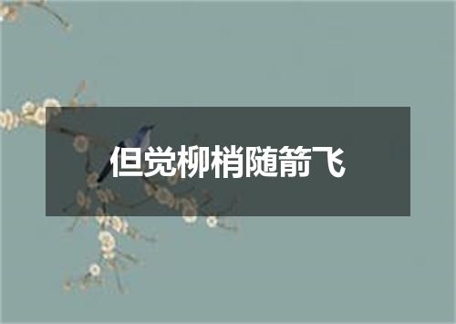 但觉柳梢随箭飞