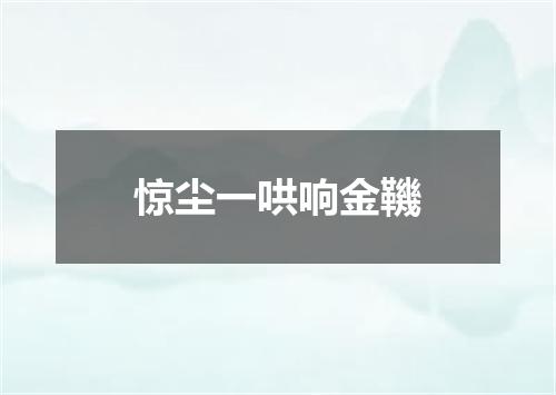 惊尘一哄响金鞿