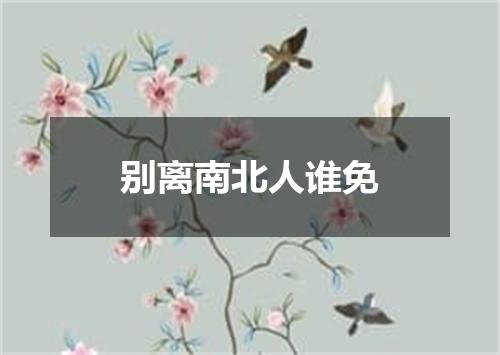 别离南北人谁免