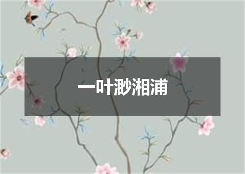 一叶渺湘浦