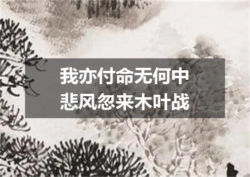 我亦付命无何中悲风忽来木叶战