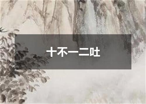 十不一二吐
