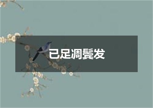 已足凋鬓发