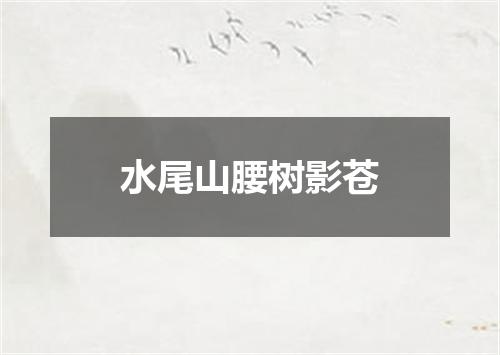 水尾山腰树影苍