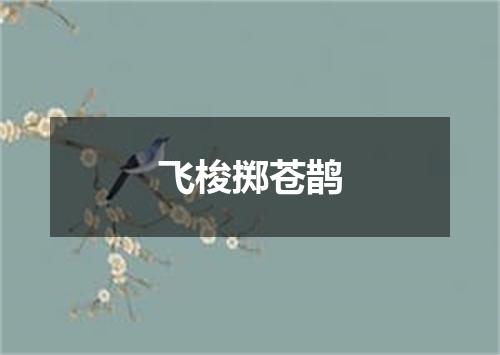 飞梭掷苍鹊