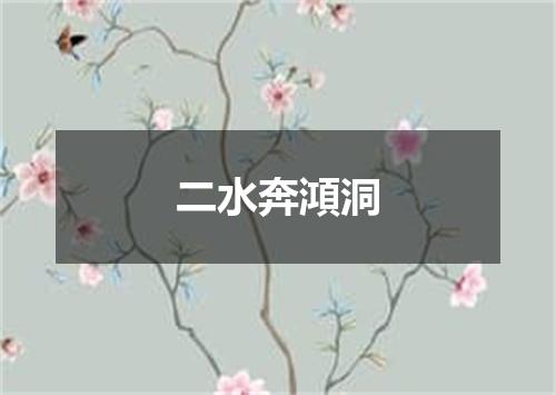 二水奔澒洞