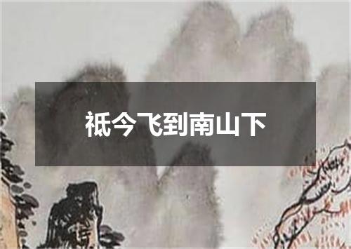 祗今飞到南山下