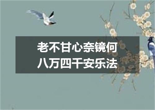 老不甘心奈镜何八万四千安乐法