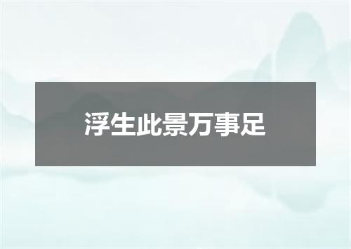 浮生此景万事足
