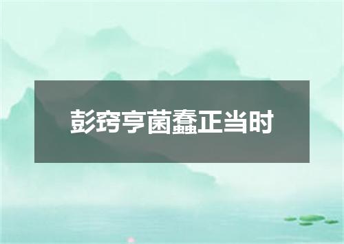彭窍亨菌蠢正当时