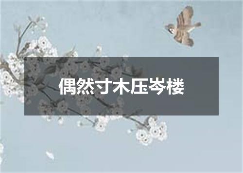 偶然寸木压岑楼