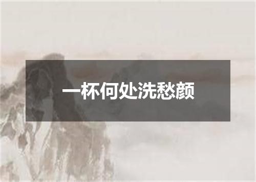 一杯何处洗愁颜