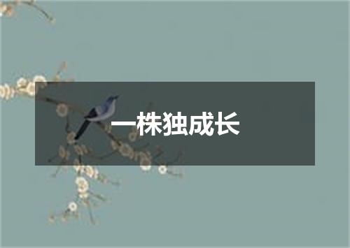 一株独成长