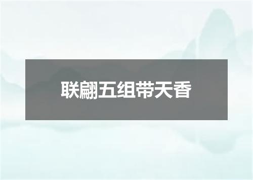 联翩五组带天香