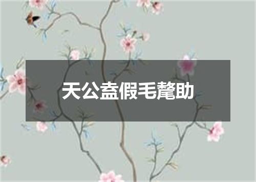 天公盍假毛氂助