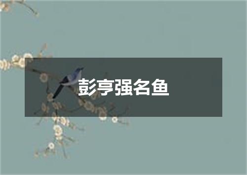 彭亨强名鱼