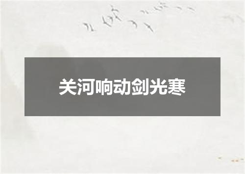 关河响动剑光寒