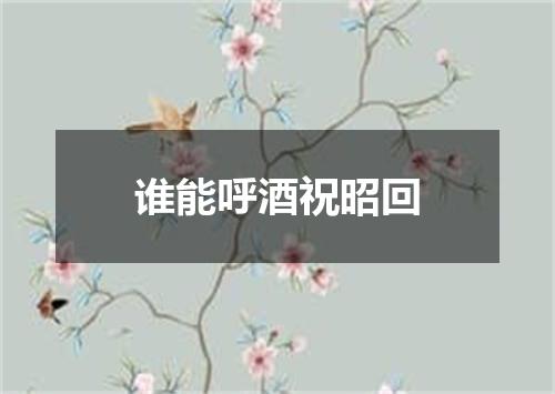 谁能呼酒祝昭回