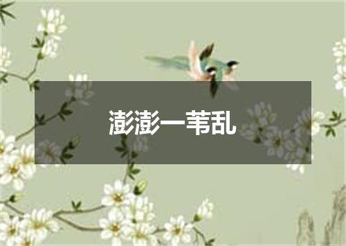澎澎一苇乱