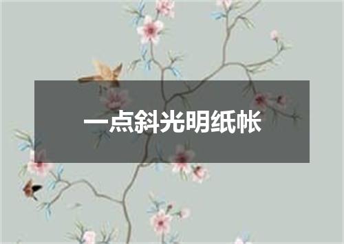 一点斜光明纸帐