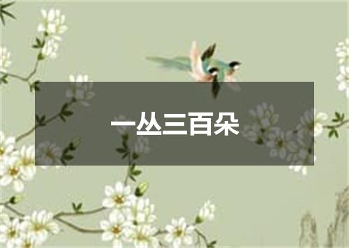 一丛三百朵